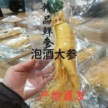正宗长白山产地直发人参保鲜参多规格