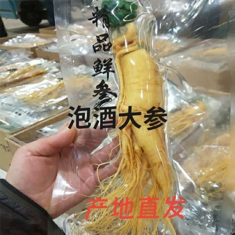 正宗长白山产地直发人参保鲜参多规格