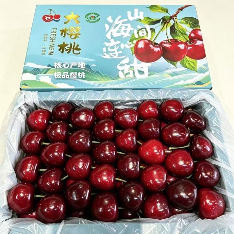 辽宁大连美早大樱桃/基地直发/货源充足/支持一件代发