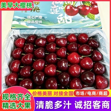 辽宁大连美早大樱桃/基地直发/货源充足/支持一件代发