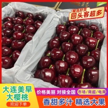 美早大樱桃/辽宁大连产区直发/货源充足/支持一件代发