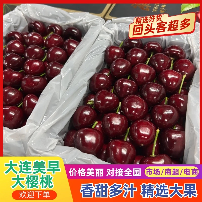 美早大樱桃/辽宁大连产区直发/货源充足/支持一件代发