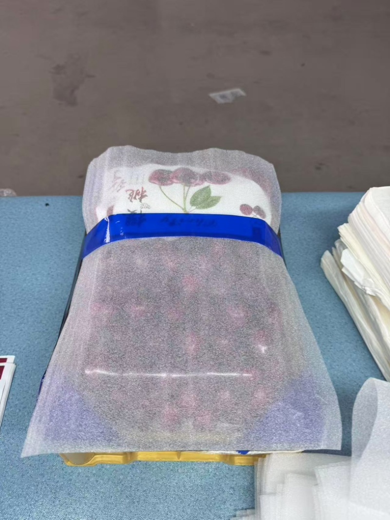 美早大樱桃/辽宁大连产区直发/货源充足/支持一件代发
