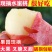 陕西水蜜桃毛桃桃子一件发货代发对接电商平台发货