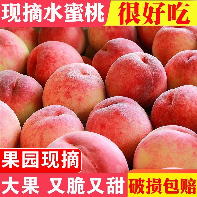 陕西水蜜桃毛桃桃子一件发货代发对接电商平台发货
