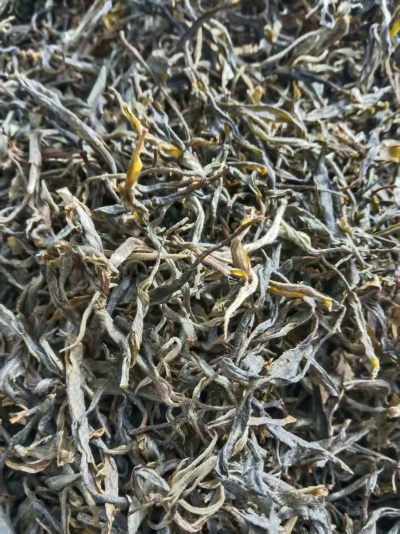 云南凤庆，放荒古树生普，纯手工制作欢迎随时咨询！