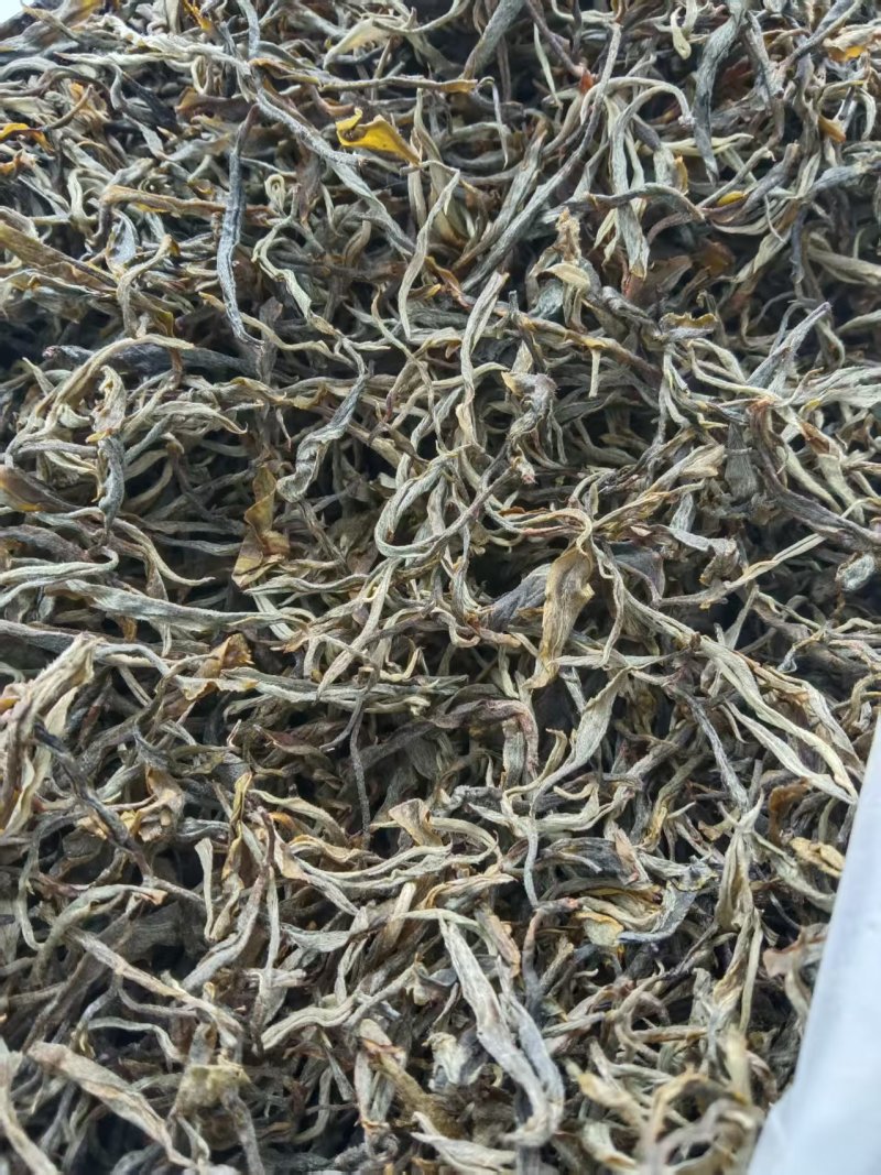 云南凤庆，放荒古树生普洱，纯手工制作欢迎随时咨询！