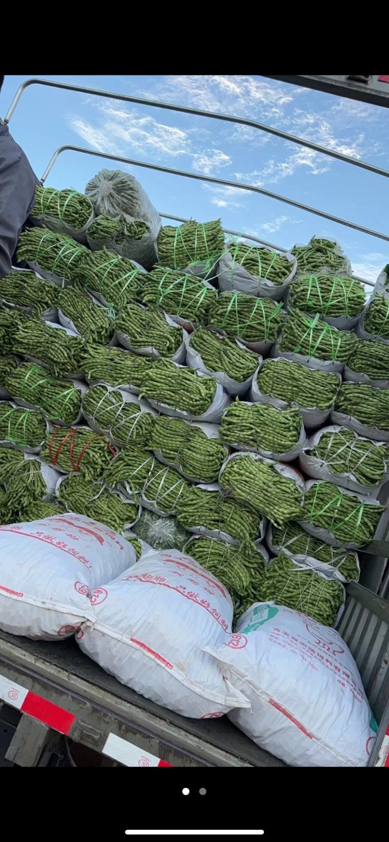 大青豆有想法联系