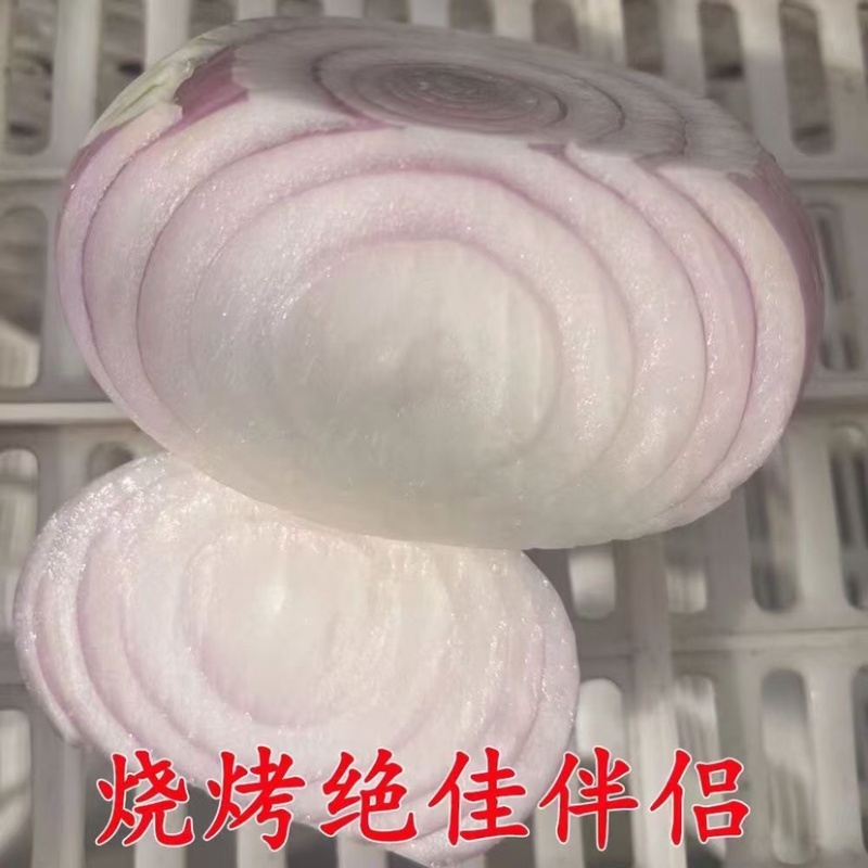 山东聊城二红扁洋葱水果洋葱产地直发电商市场商超直供