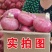 山东聊城二红扁洋葱水果洋葱产地直发电商市场商超直供