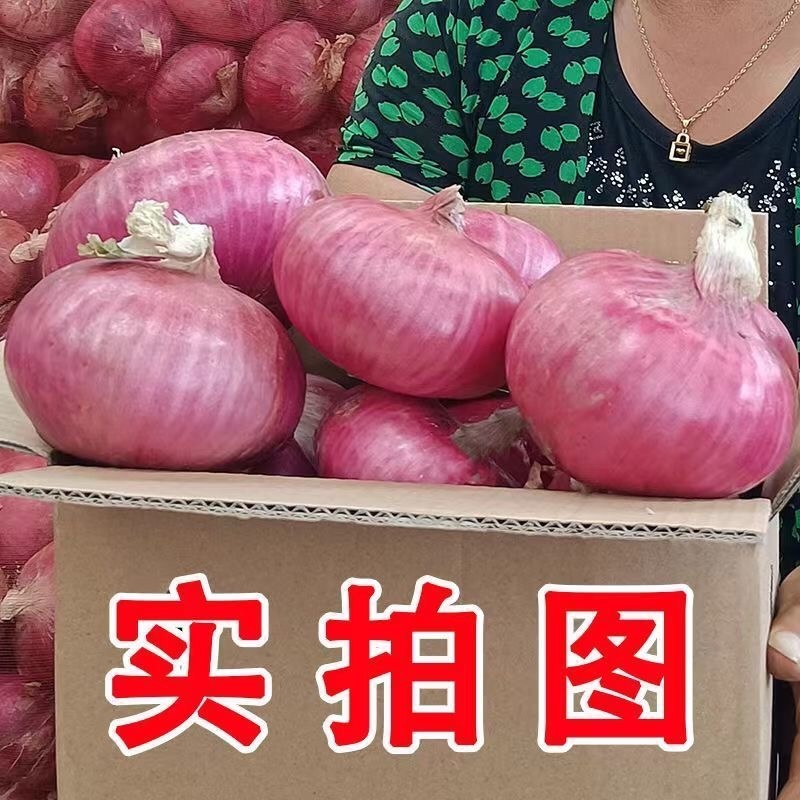 山东聊城二红扁洋葱水果洋葱产地直发电商市场商超直供