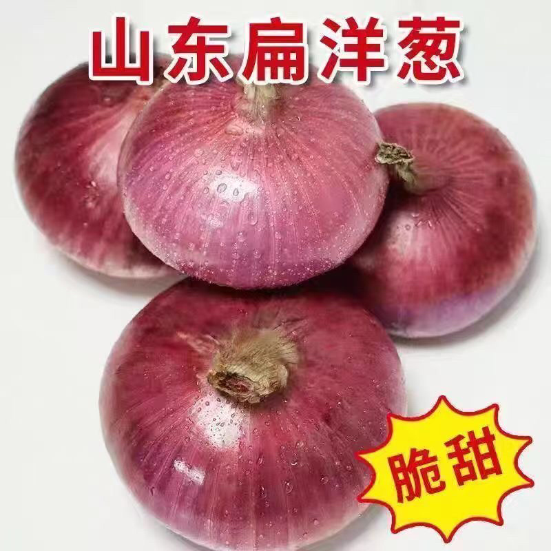 山东聊城二红扁洋葱水果洋葱产地直发电商市场商超直供