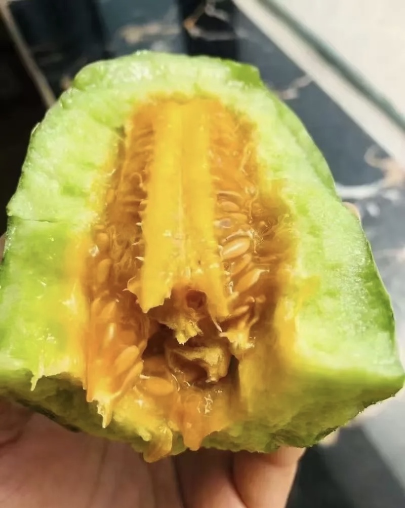 羊角蜜/甜瓜/博洋61脆甜可口主营精品可开发票