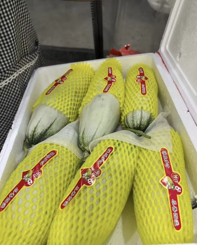 羊角蜜/甜瓜/博洋61脆甜可口主营精品可开发票