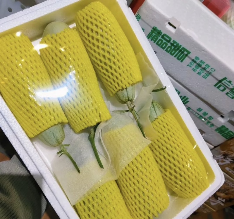 羊角蜜/甜瓜/博洋61脆甜可口主营精品可开发票