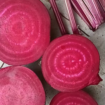 红甜菜甜菜根甜菜头产地直发全年供应