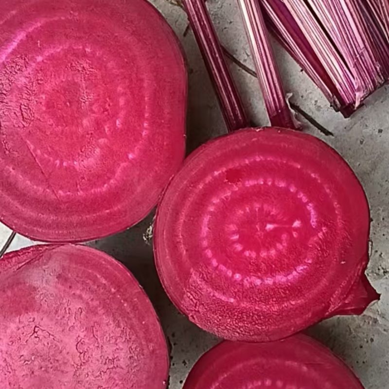 红甜菜甜菜根甜菜头产地直发全年供应