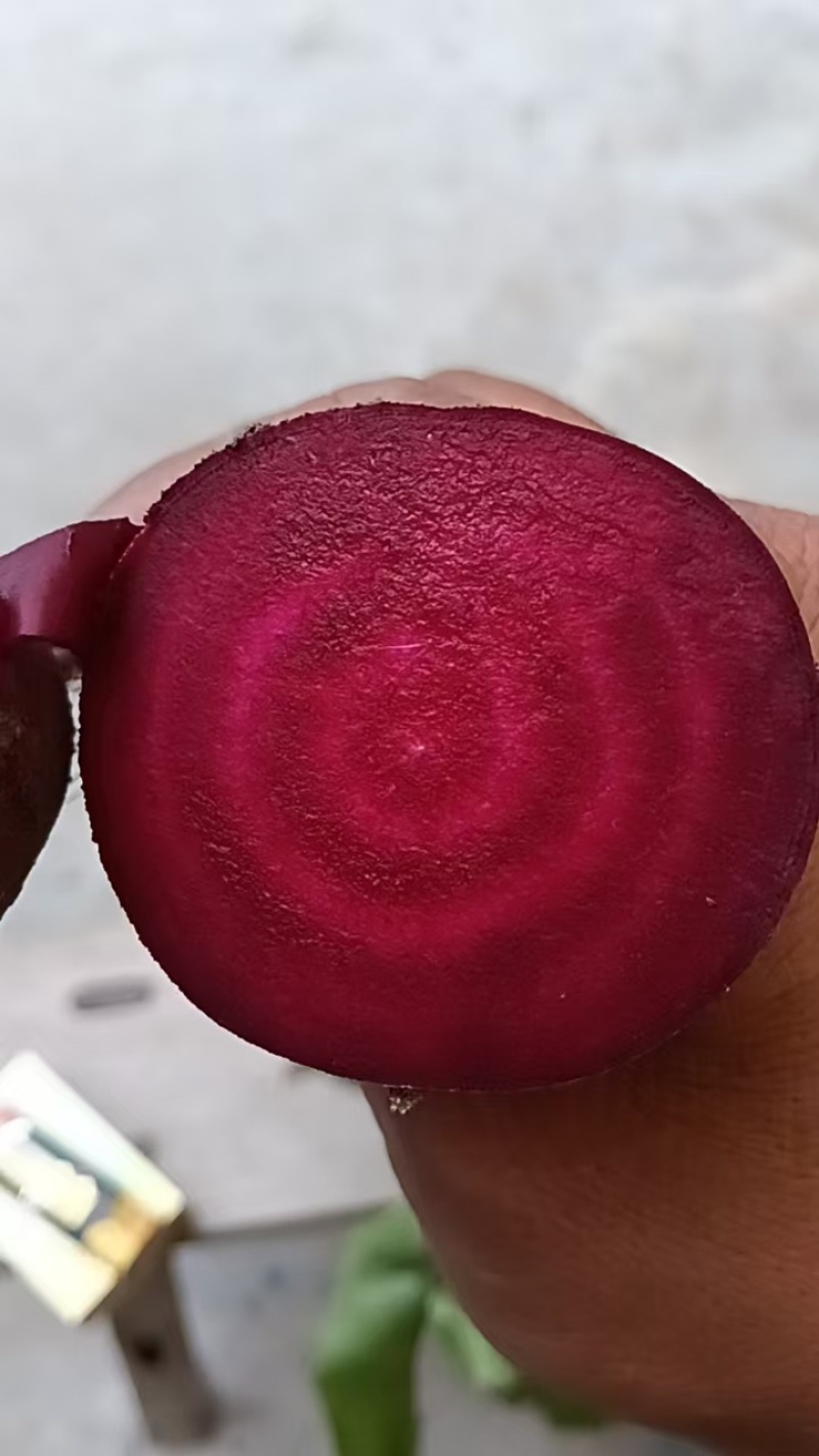 红甜菜甜菜根甜菜头产地直发全年供应