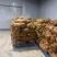 红甜菜甜菜根甜菜头产地直发全年供应