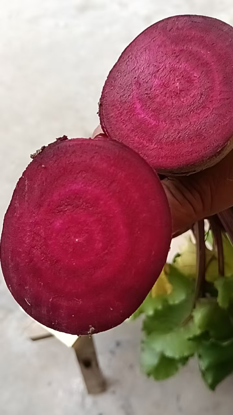 红甜菜甜菜根甜菜头产地直发全年供应