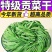 精品高原贡菜干，精选贡菜，营养美味，老少皆宜