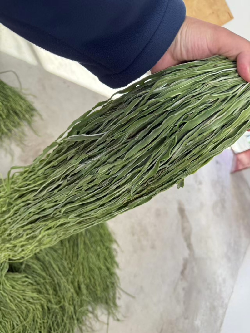 精品高原贡菜干，精选贡菜，营养美味，老少皆宜