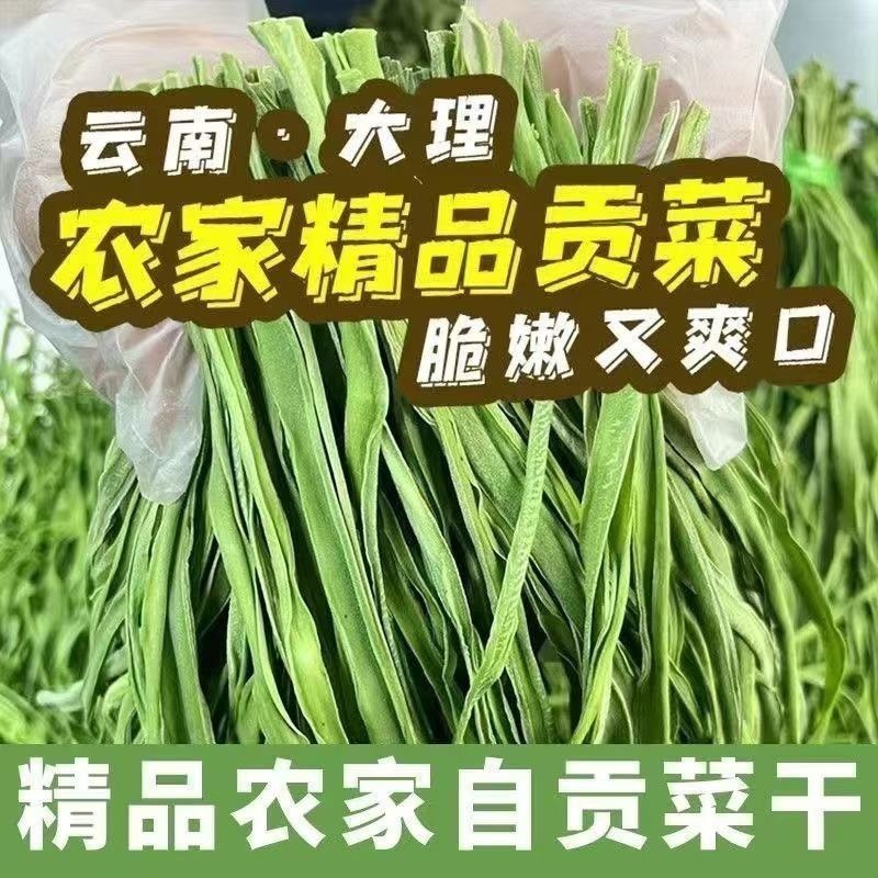 精品高原贡菜干，精选贡菜，营养美味，老少皆宜