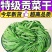 精品高原贡菜干，精选贡菜，营养美味，老少皆宜