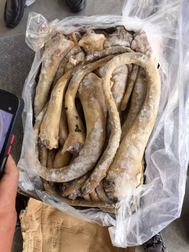 带皮牛尾，去尾根，现货实拍，大量现货，货源稳定