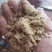 发效玉米次粉