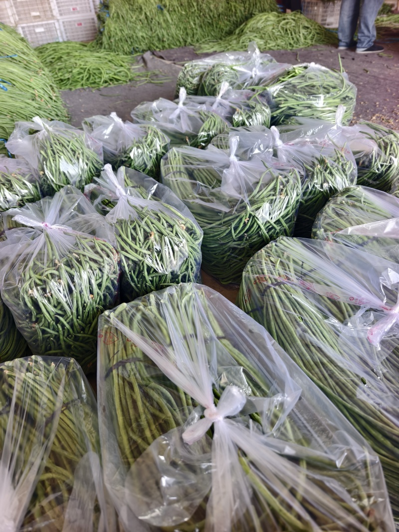 长豆角大量供应，产地直发，货源充足