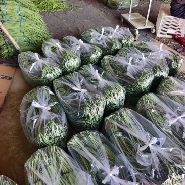 长豆角大量供应，产地直发，货源充足