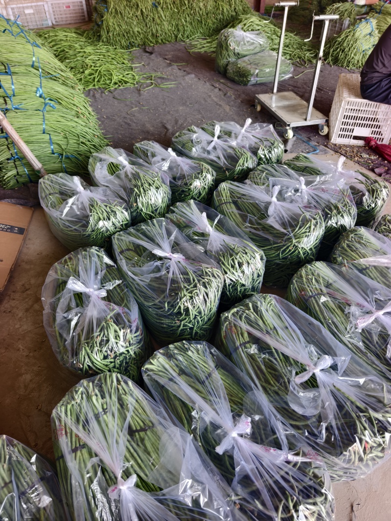 长豆角大量供应，产地直发，货源充足
