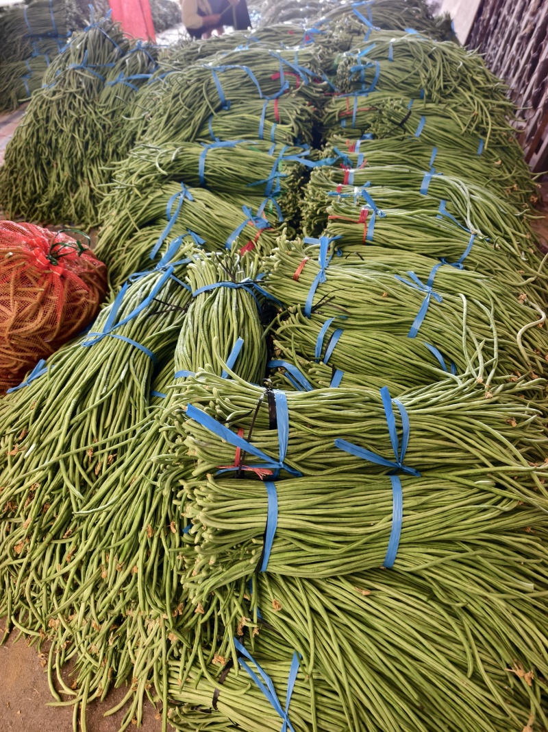 长豆角大量供应，产地直发，货源充足