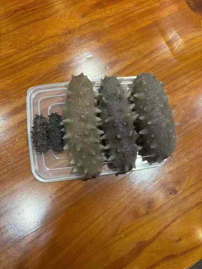 大连淡干海参