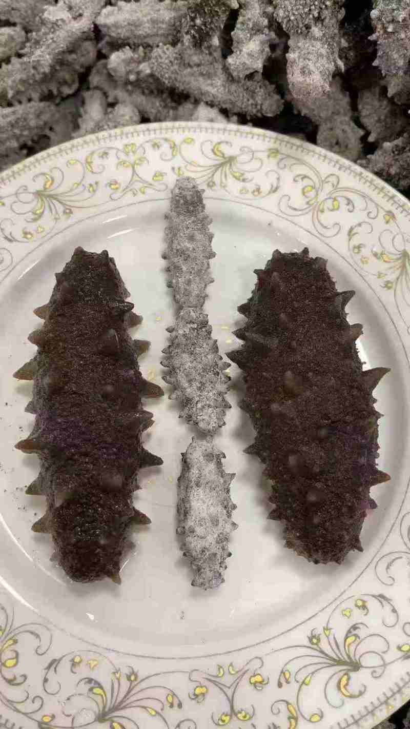 大连淡干海参