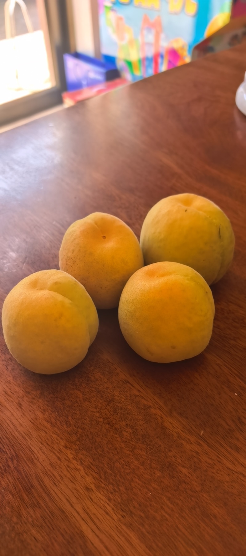 沂蒙山区凯特杏