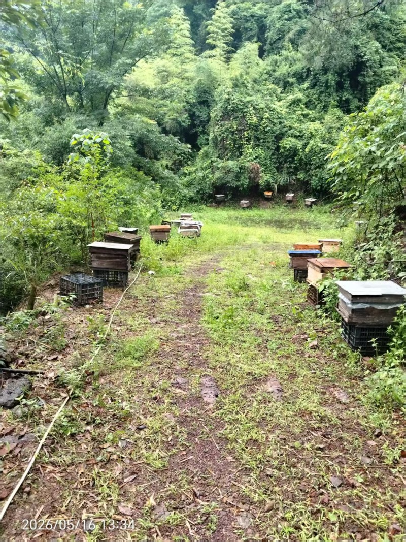 江西赣州百花蜜