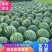 辽宁淩海甜王西瓜，陆地瓜，大量新鲜现货速发，欢迎选购