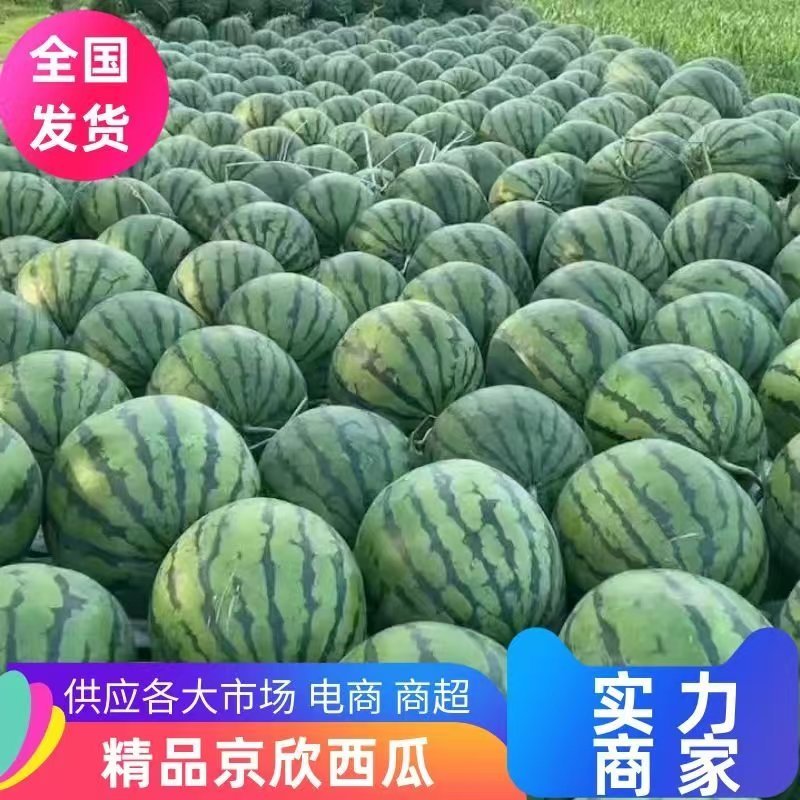 辽宁淩海甜王西瓜，陆地瓜，大量新鲜现货速发，欢迎选购