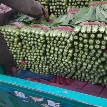 精品油麦