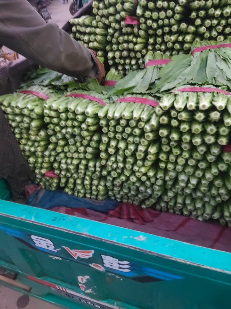 精品油麦