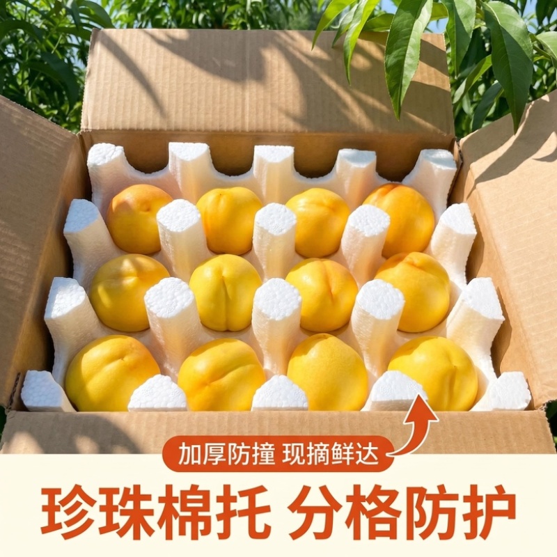 彩虹油蟠桃蒙阴新鲜黄金蟠桃黄桃果园直发，电商一件代发