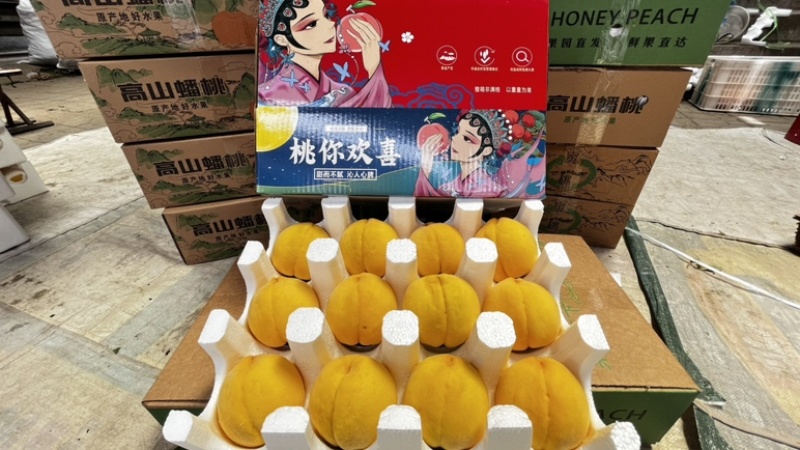 彩虹油蟠桃蒙阴新鲜黄金蟠桃黄桃果园直发，电商一件代发