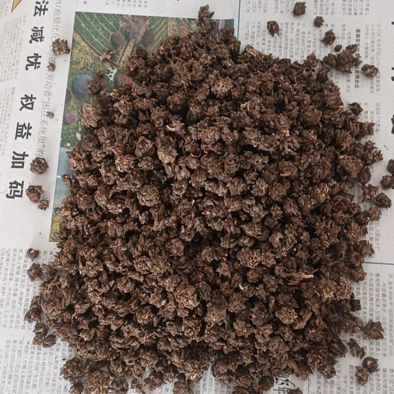 猫爪草出售，全国各地包邮，1斤起发货