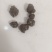 猫爪草出售，全国各地包邮，1斤起发货