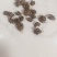 猫爪草出售，全国各地包邮，1斤起发货