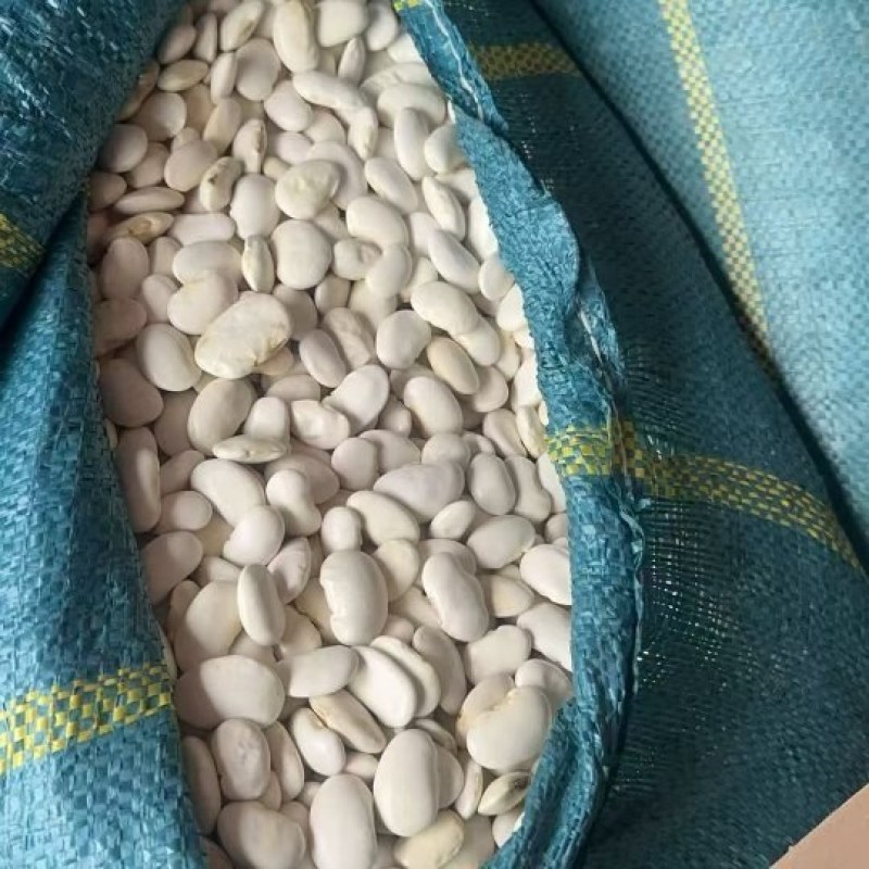 白芸豆干货长期有货