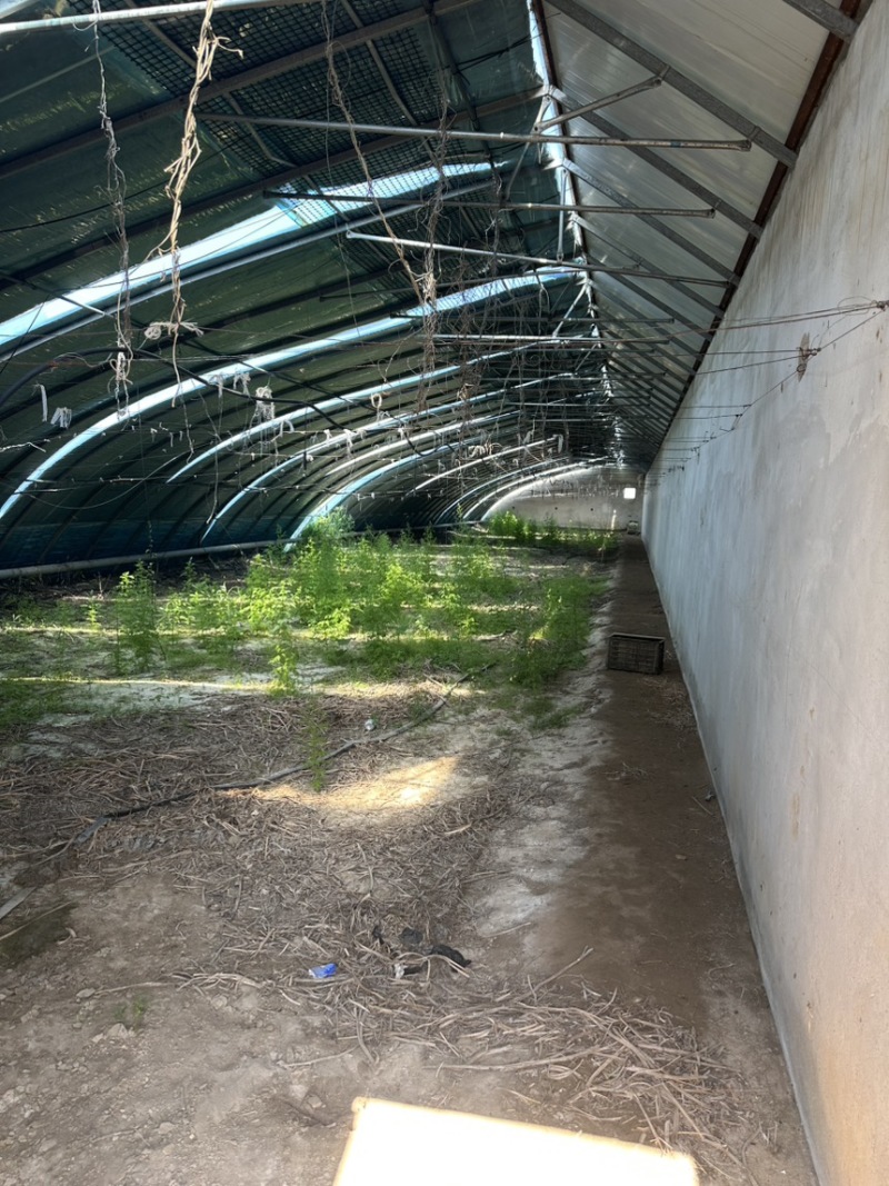 青海温室大棚207座招租