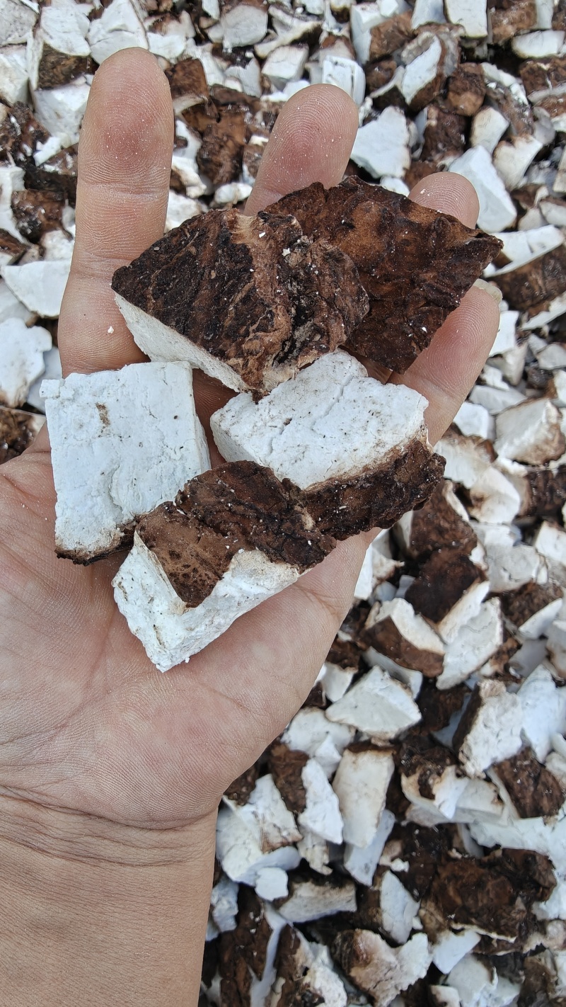 正宗云南深山老树白茯苓，带皮茯苓块，手工切，太阳晾晒干